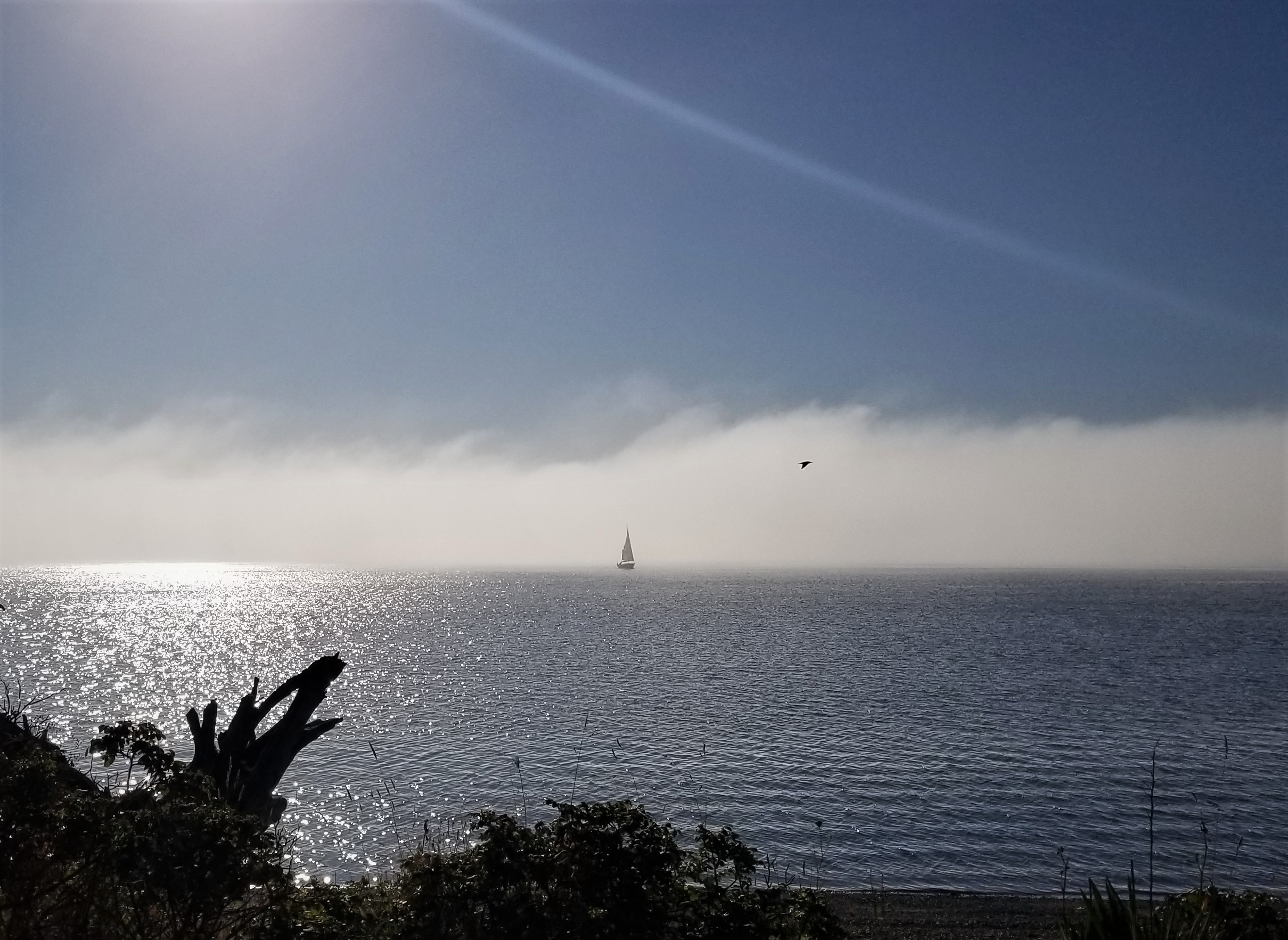 Contact Us | RIC Enterprises